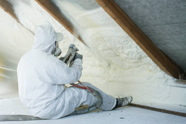 Professional Insulation Services in Baldwin, FL